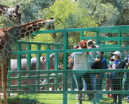 Explorando la belleza natural de Parque Ecológico Zacango, Estado de México