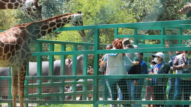 Niños visitando el parque Ecológico Zacango. Foto Gobierno EDOMEX