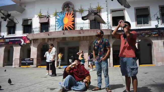 Algunos animales presentan alteración durante el eclipse solar. Foto: Lino Ceballos