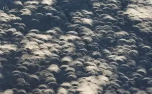 Eclipse solar: ¿por qué se forman sombras de luna en los árboles?