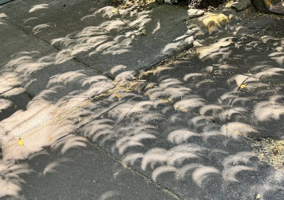 Eclipse solar 2024: ¿por qué se ven sombras de luna en los árboles?