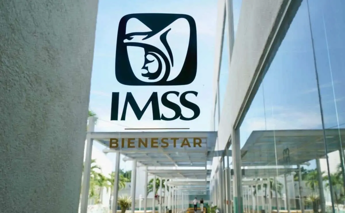 Así puedes verificar tu estatus. Foto: IMSS