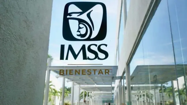 Así puedes verificar tu estatus. Foto: IMSS