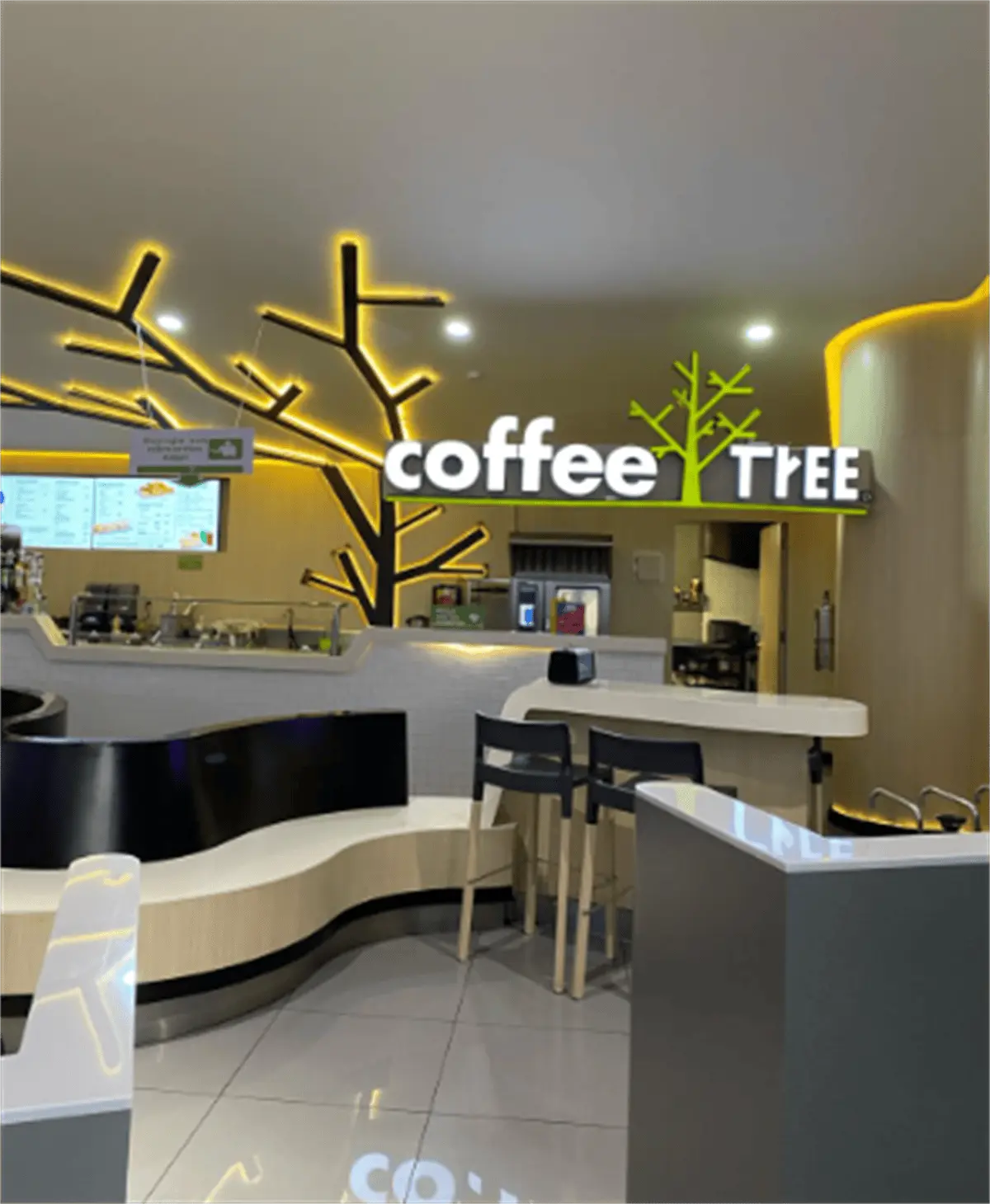 coffee tree