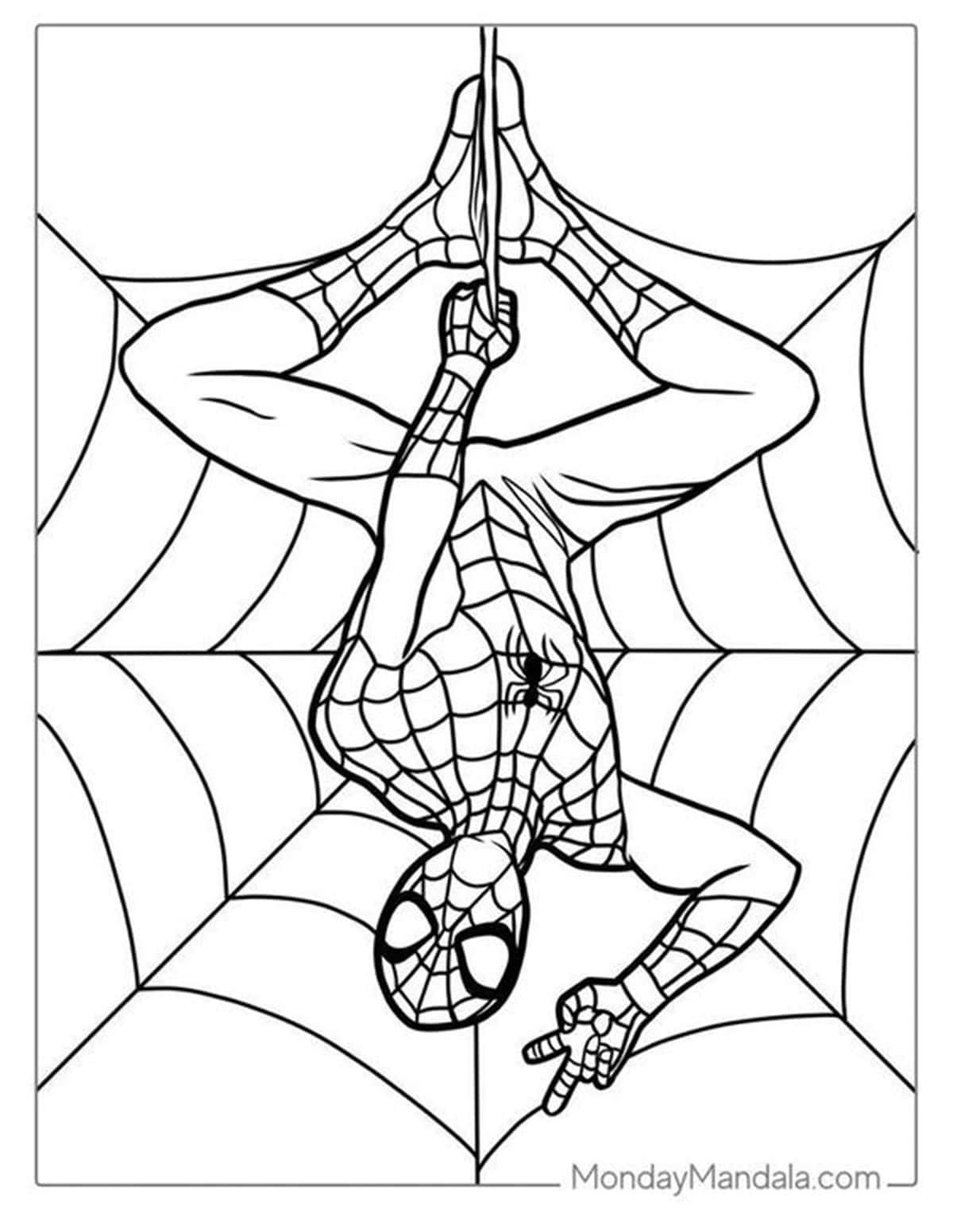 Dibujos de Spiderman para colorear