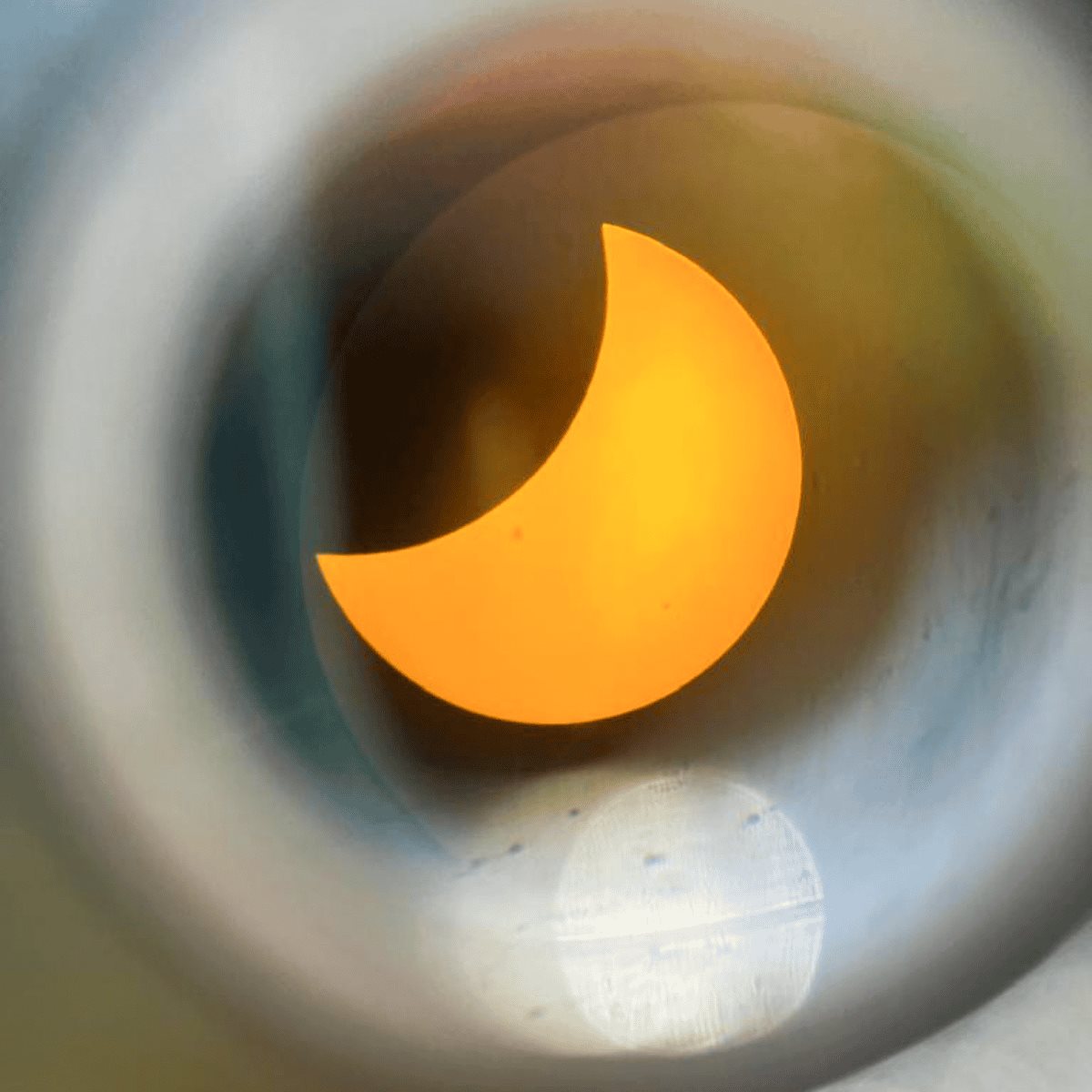 Así se vivió el eclipse solar 2024 en Africam Safari Puebla. FB Africam Safari