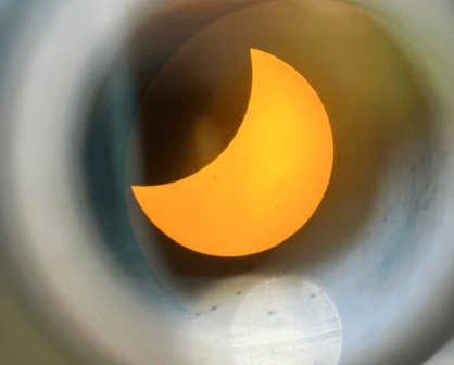 ¿Cómo reaccionaron los animales de Africam Safari Puebla con el eclipse solar?