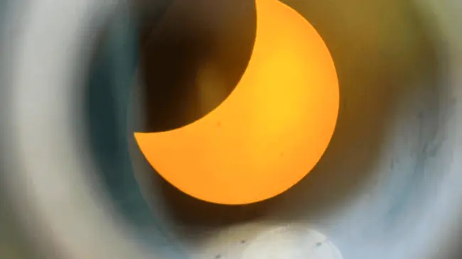 Así se vivió el eclipse solar 2024 en Africam Safari Puebla. FB Africam Safari