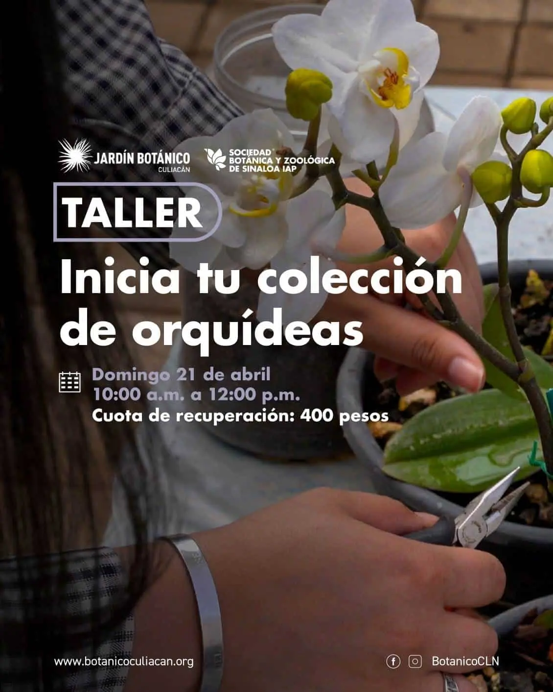 taller