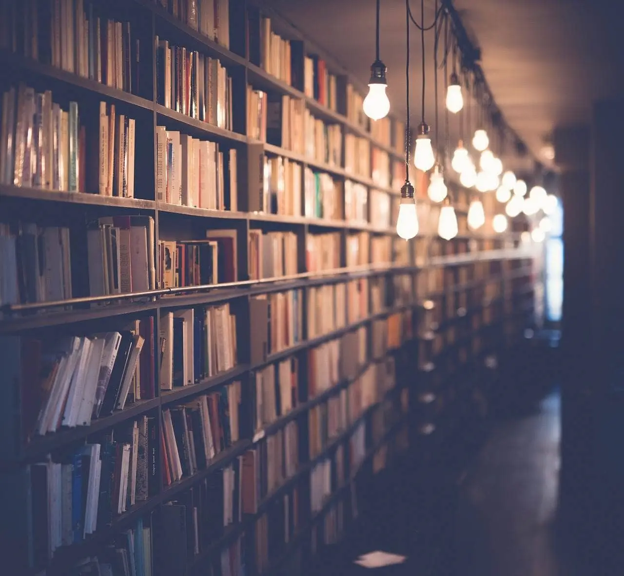 Libros de segunda mano. Bazar de Libros León Guanajuato. Foto Pixabay