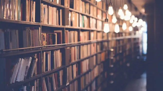 Libros de segunda mano. Bazar de Libros León Guanajuato. Foto Pixabay