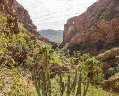 Vive aventuras en el Cañón de Nacapule, Sonora