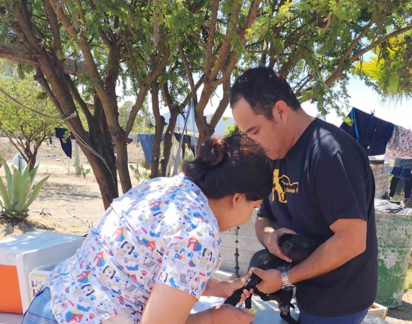 La Campaña de Vacunación Antirrábica Canina y Felina 2024 en Querétaro