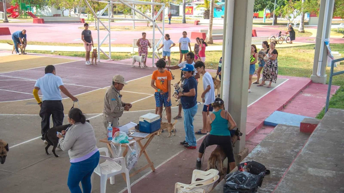 Este fin de semana inician a poner vacunas contra la rabia para perros y gatos en Querétaro. Foto: Cortesía