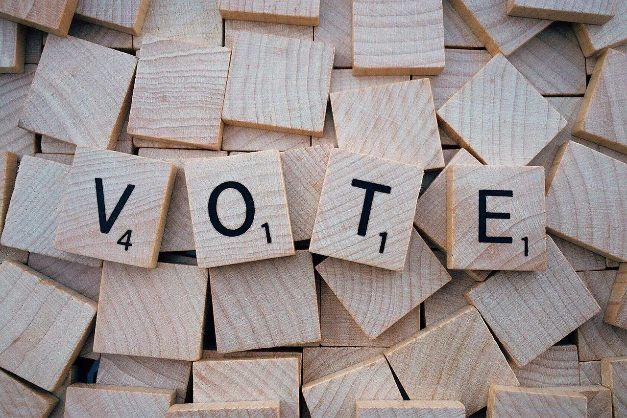 Alza la voz y sal a votar. Foto Pixabay