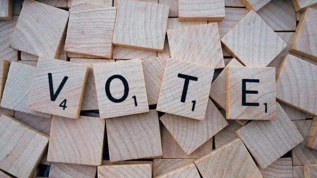 Alza la voz y sal a votar. Foto Pixabay