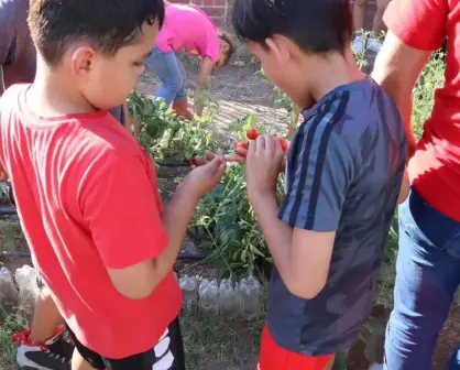 Taller gratuito para niños de Huerto Urbano Ecológico en Chihuahua; dónde inscribirse