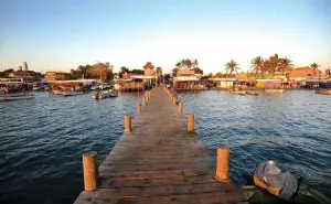 Sinaloa, Chihuahua y BCS anuncian nueva ruta de experiencias turísticas