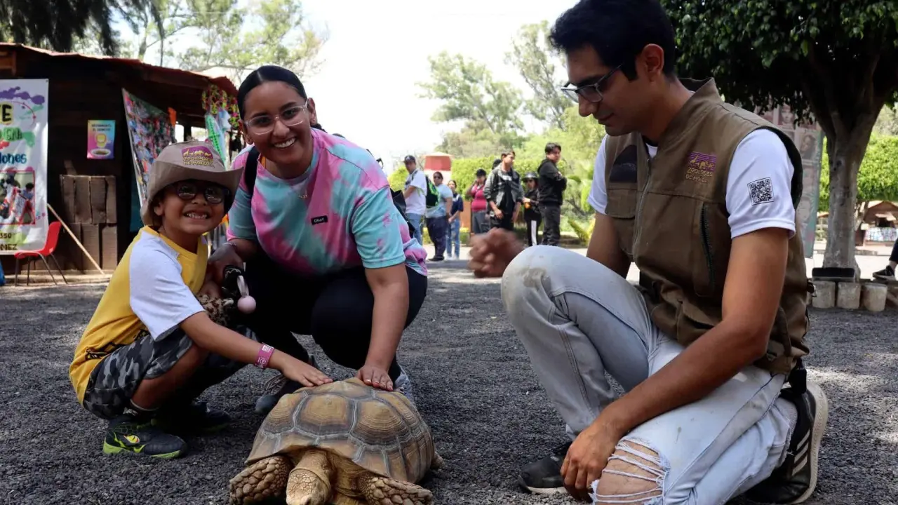 Habrá un programa especial por el Día del Niño en el Zoológico de Morelia. Foto: Cortesía