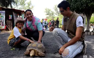 Día del Niño 2024; Qué días entran gratis los niños al Zoológico de Morelia