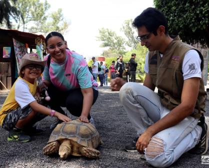 Día del Niño 2024; Qué días entran gratis los niños al Zoológico de Morelia