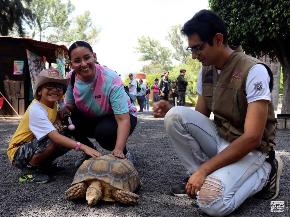 Día del Niño 2024; Qué días entran gratis los niños al Zoológico de Morelia