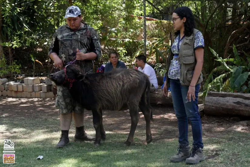 Hay visitas guiadas especiales para los grupos de estudiantes. 