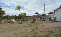 ¡Conciencia ambiental! Plantan esperanza en el Campo Deportivo de la colonia Buenos Aires en Culiacán