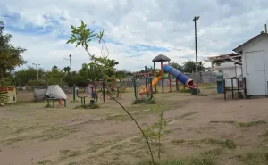 ¡Conciencia ambiental! Plantan esperanza en el Campo Deportivo de la colonia Buenos Aires en Culiacán