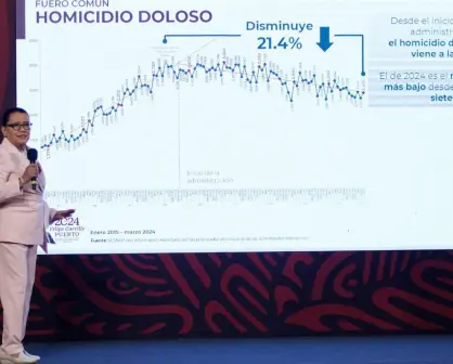 Rosa ícela Rodríguez. Delitos del fuero federal disminuyeron 28.2%