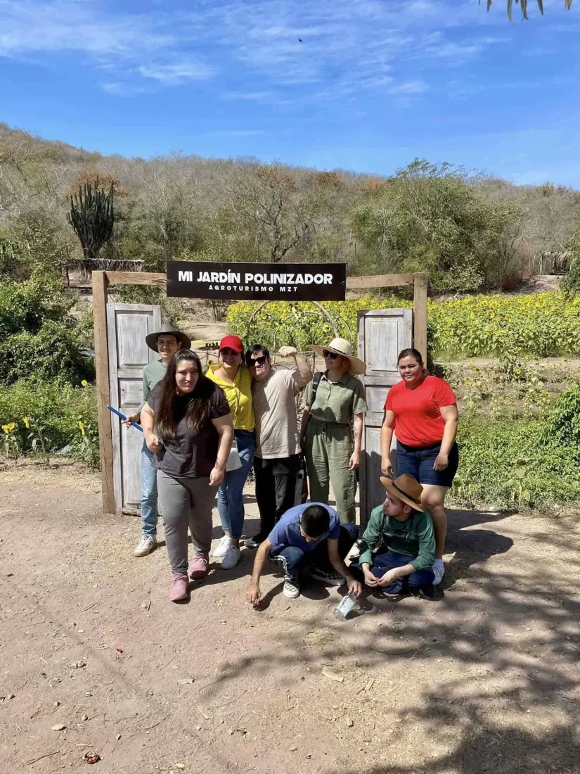 Ruta para llegar al Campo de Girasoles de Palmillas