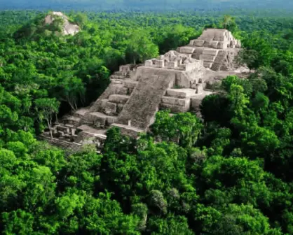 ¿Conoces las Áreas Destinadas Voluntariamente a la Conservación (ADVC) y su importancia?