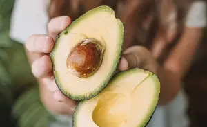 ¡EN HORA BUENA! Producción de aguacate logra récord histórico en México