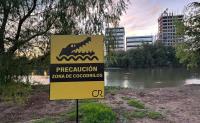 Cinco cocodrilos son capturados  en EL Parque de las Riberas en Culiacán, Sinaloa