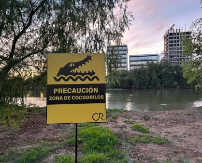Cinco cocodrilos son capturados  en EL Parque de las Riberas en Culiacán, Sinaloa