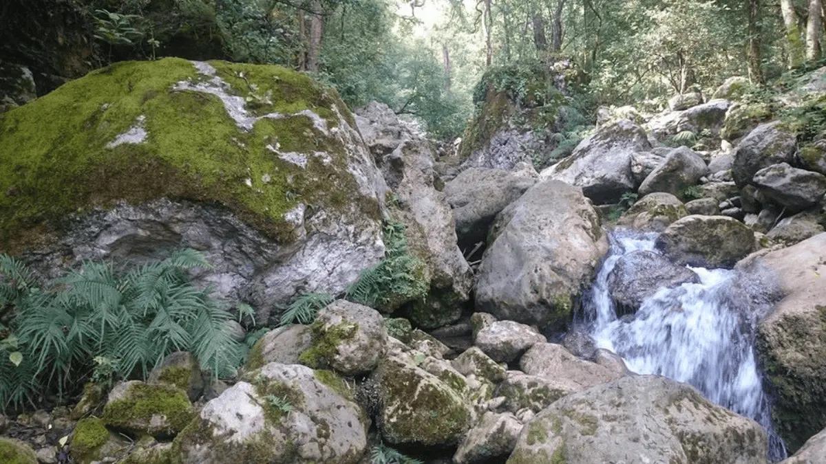 Parque Natural La Estanzuela. Foto FB La Estanzuela