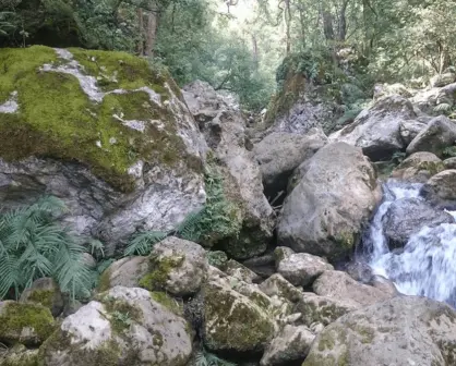 Consideraciones para ir al parque natural la Estanzuela Monterrey