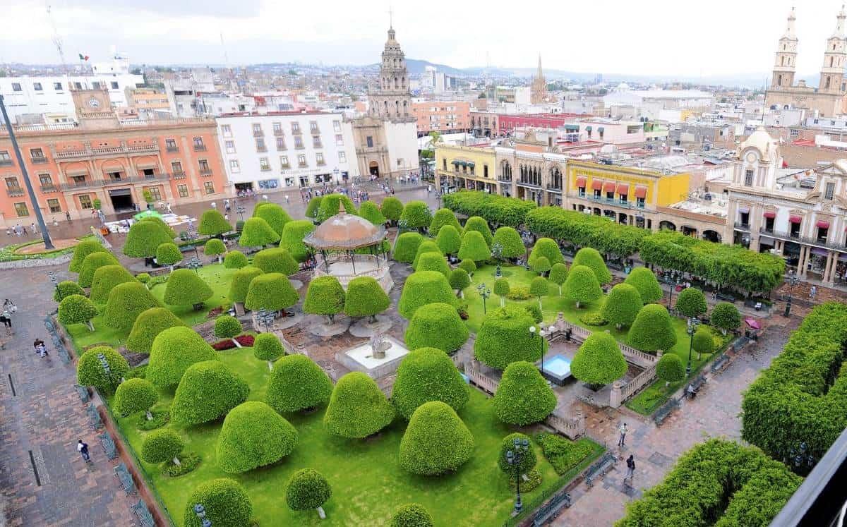 Árboles en plaza central de León, Guanajuato. Foto Gobierno