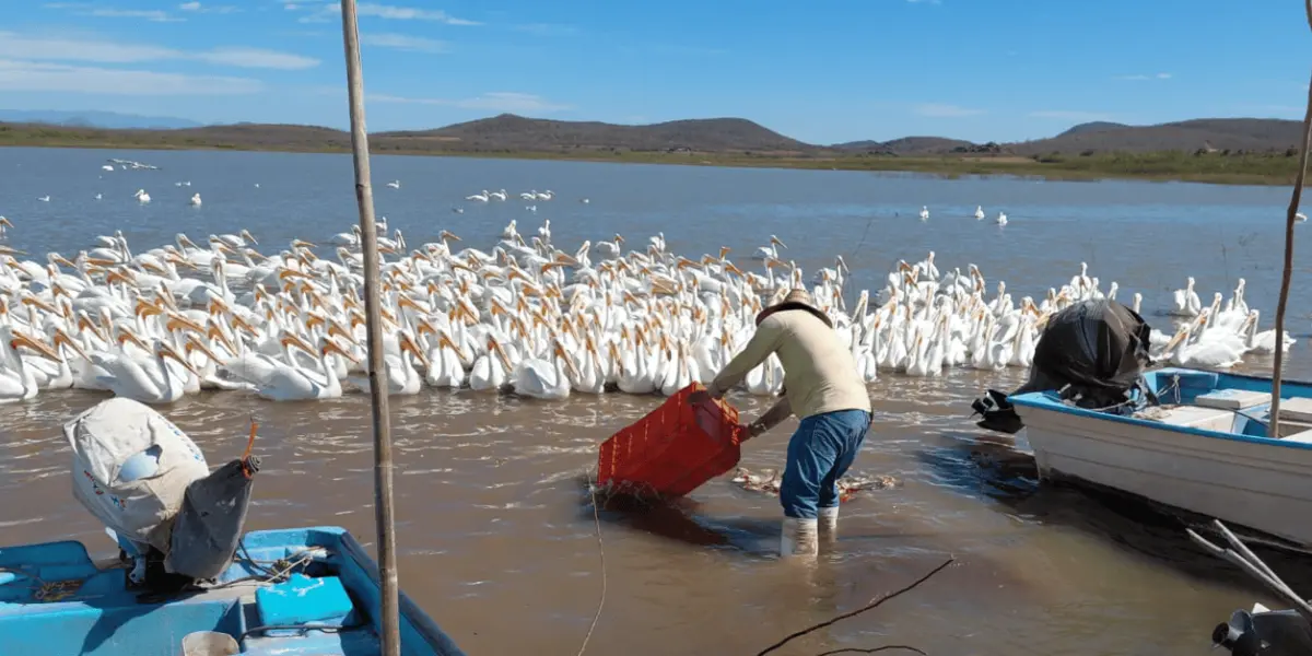 Presa E8ustaquio Buelna sobre el Río Mocorito, Sinaloa