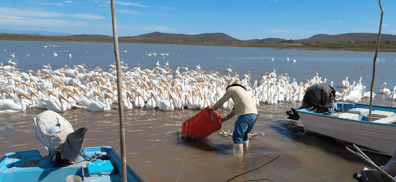 Presa E8ustaquio Buelna sobre el Río Mocorito, Sinaloa