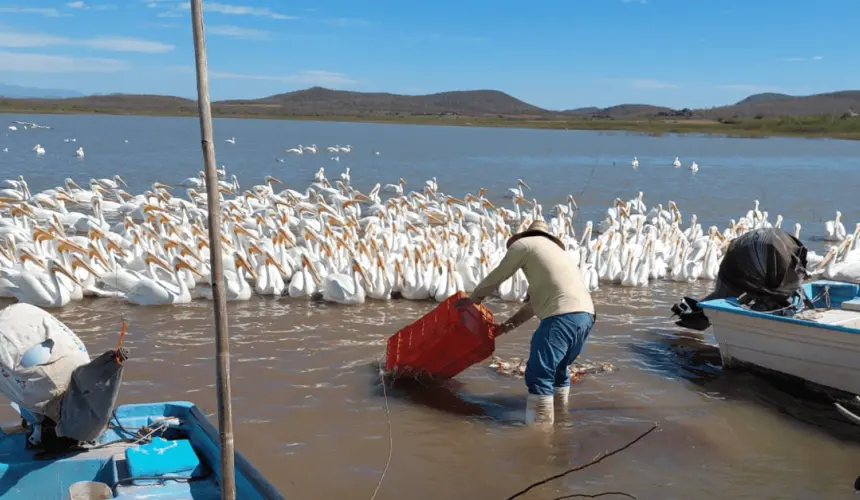 Presa E8ustaquio Buelna sobre el Río Mocorito, Sinaloa