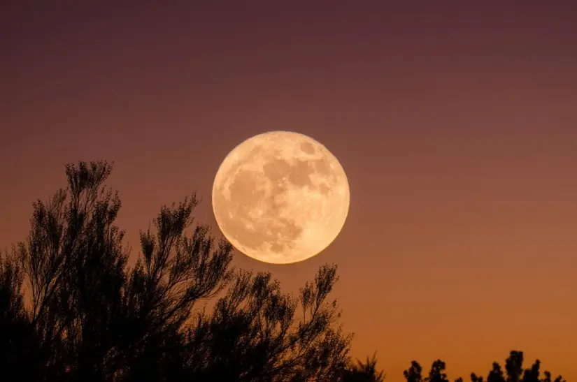 La Luna Rosa será visible en México este 23 de abril del 2024