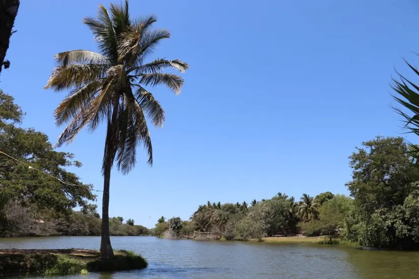 Laguna de Canachi