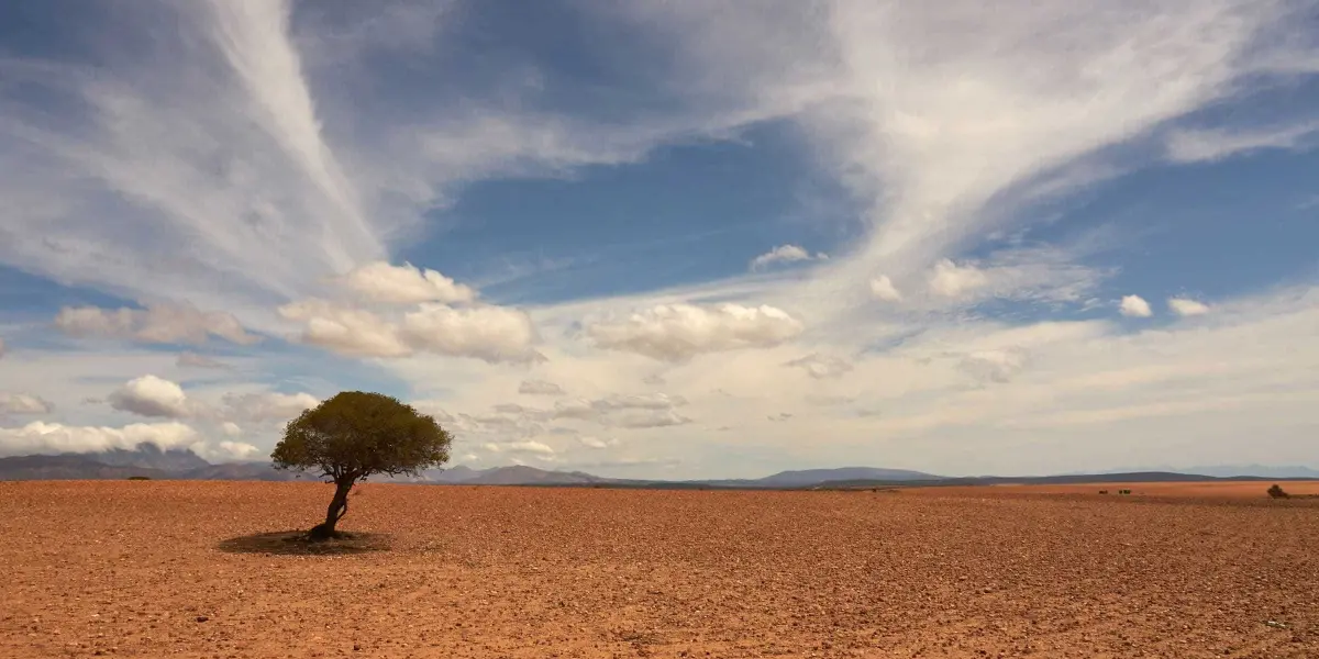 Servicio Meteorológico Nacional pronostica cinco ondas de calor en México en el 2024.