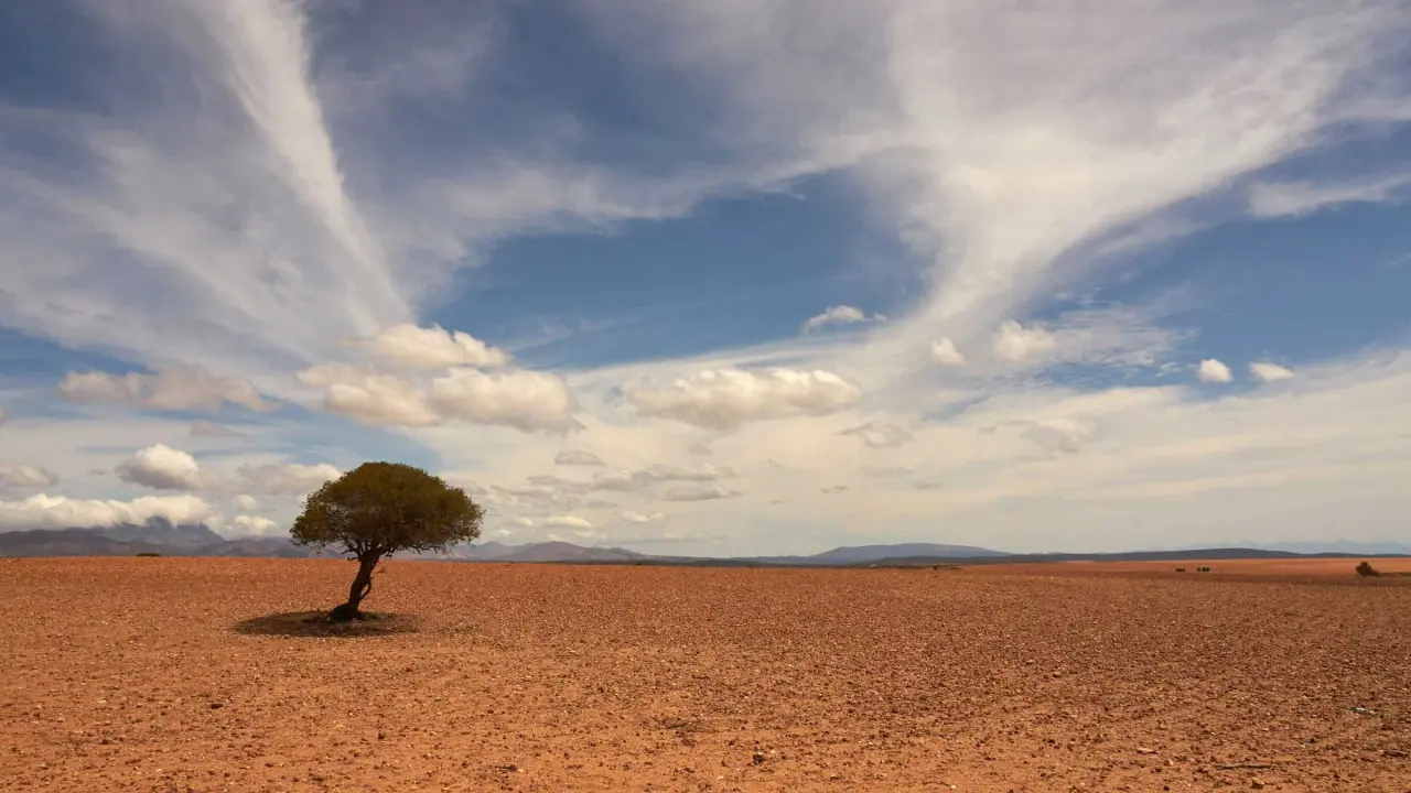 Servicio Meteorológico Nacional pronostica cinco ondas de calor en México en el 2024.