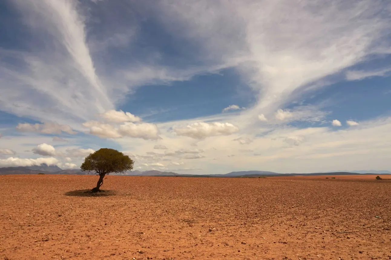 Servicio Meteorológico Nacional pronostica cinco ondas de calor en México en el 2024.