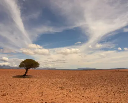 Servicio Meteorológico Nacional pronostica cinco ondas de calor en México durante el 2024