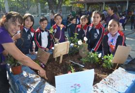 Embellecen jardines de la escuela primaria Josué R. Díaz en Culiacán