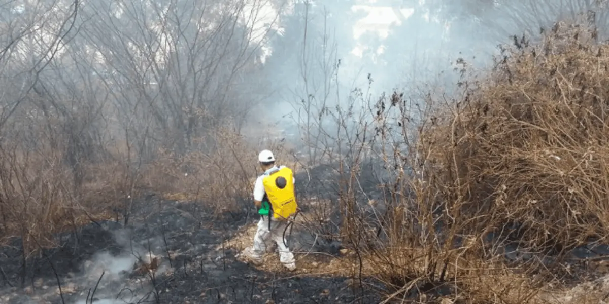 Piden estar alertas y evitar incendios forestales en Sinaloa