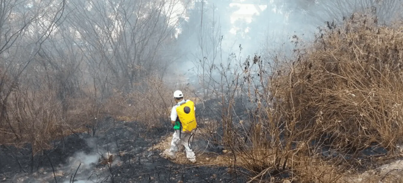 Piden estar alertas y evitar incendios forestales en Sinaloa